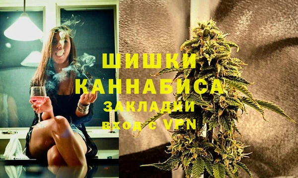 прущие грибы Баксан