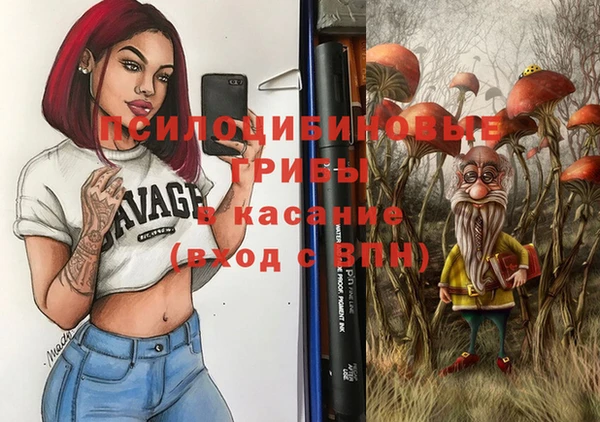Альфа ПВП Армянск