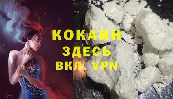 прущие грибы Баксан